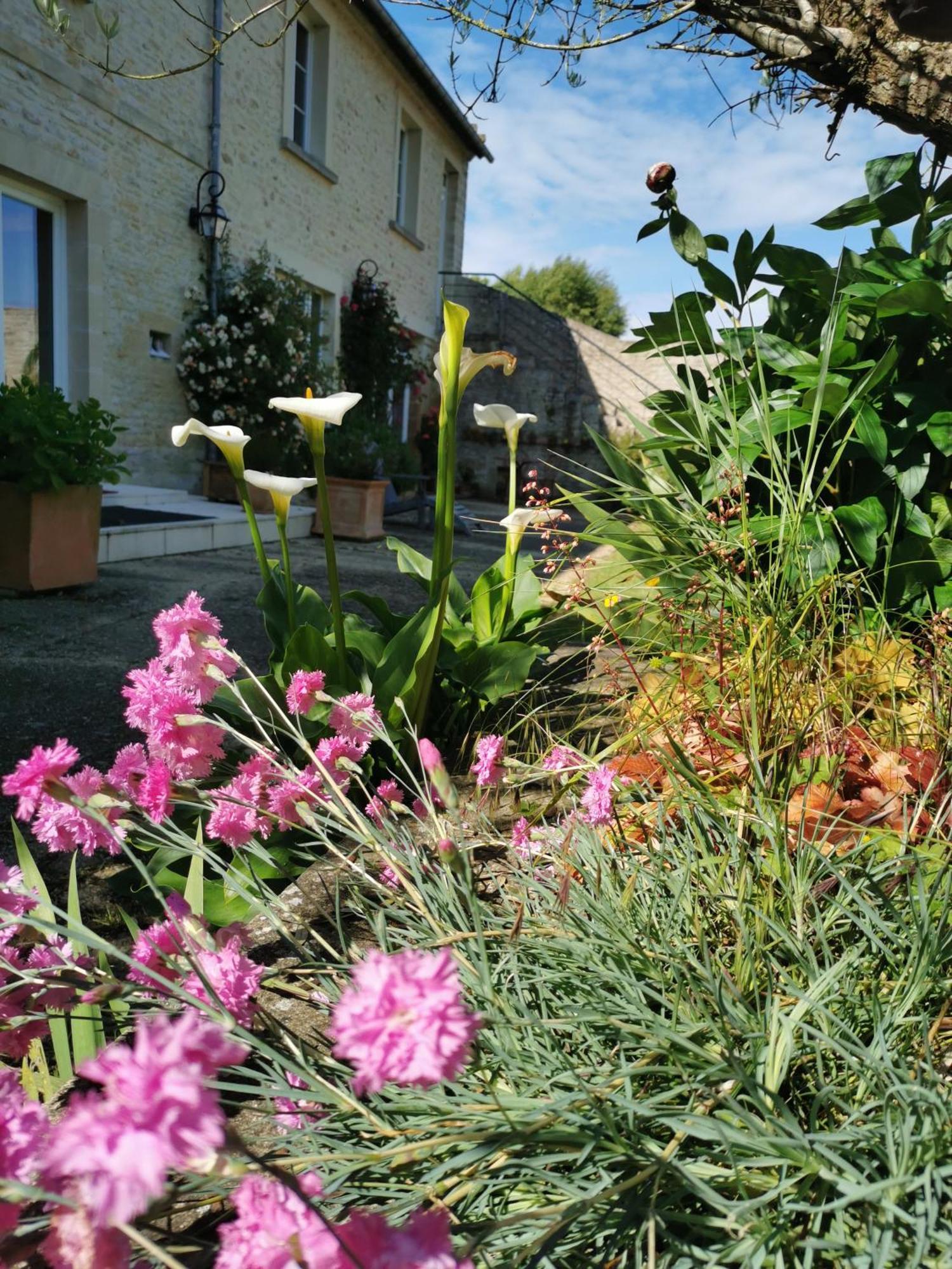 Chambre De L'Iris Sainte-Croix-sur-Mer Esterno foto