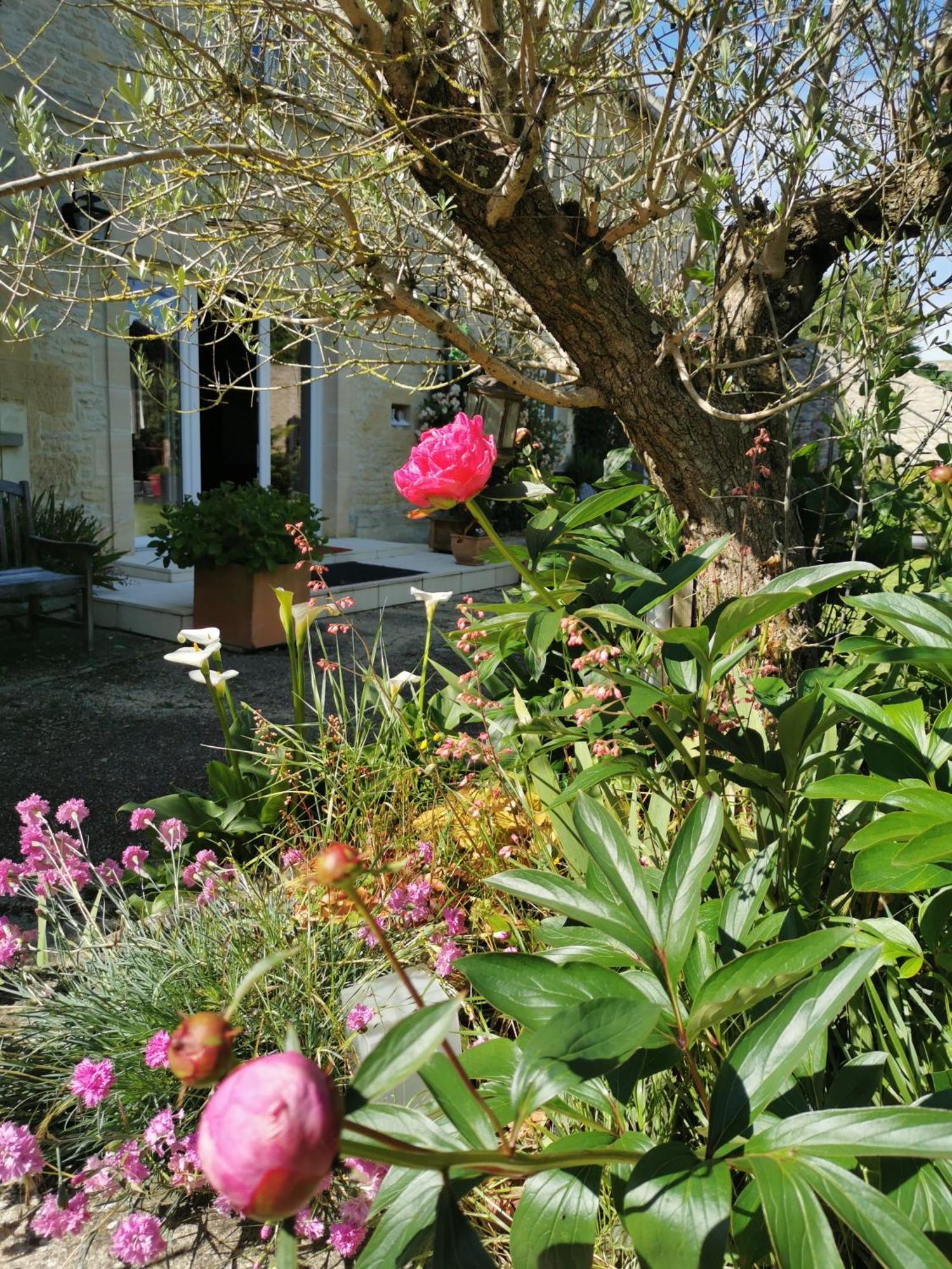 Chambre De L'Iris Sainte-Croix-sur-Mer Esterno foto